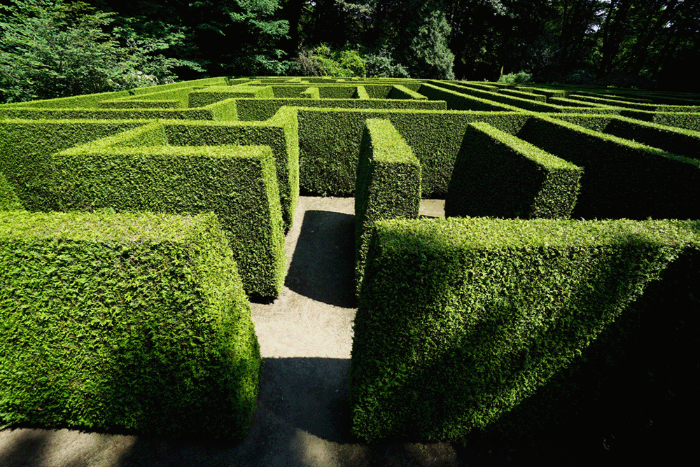 How to Buy a Home in Madison WI: A Step-by-Step Guide